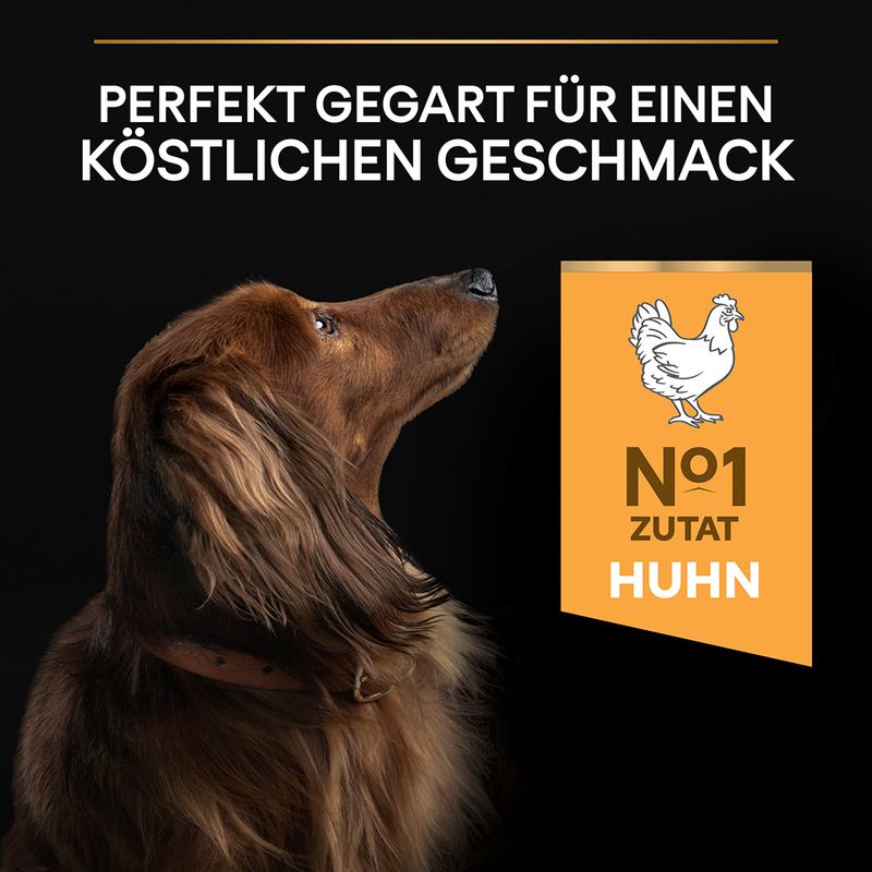 PURINA PRO PLAN Small & Mini Adult Everyday Nutrition