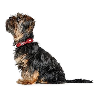 HUNTER Halsband Love, rot