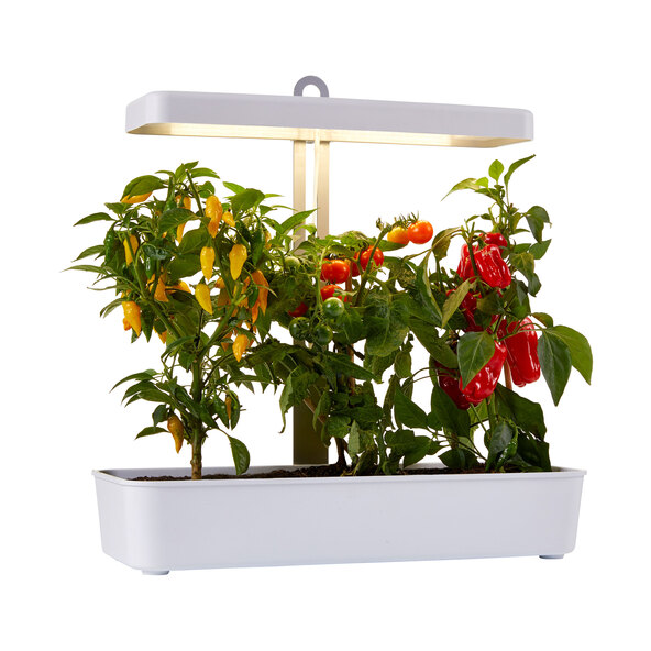 LED-Pflanzenlampe, 1.350 Lumen, 22 W