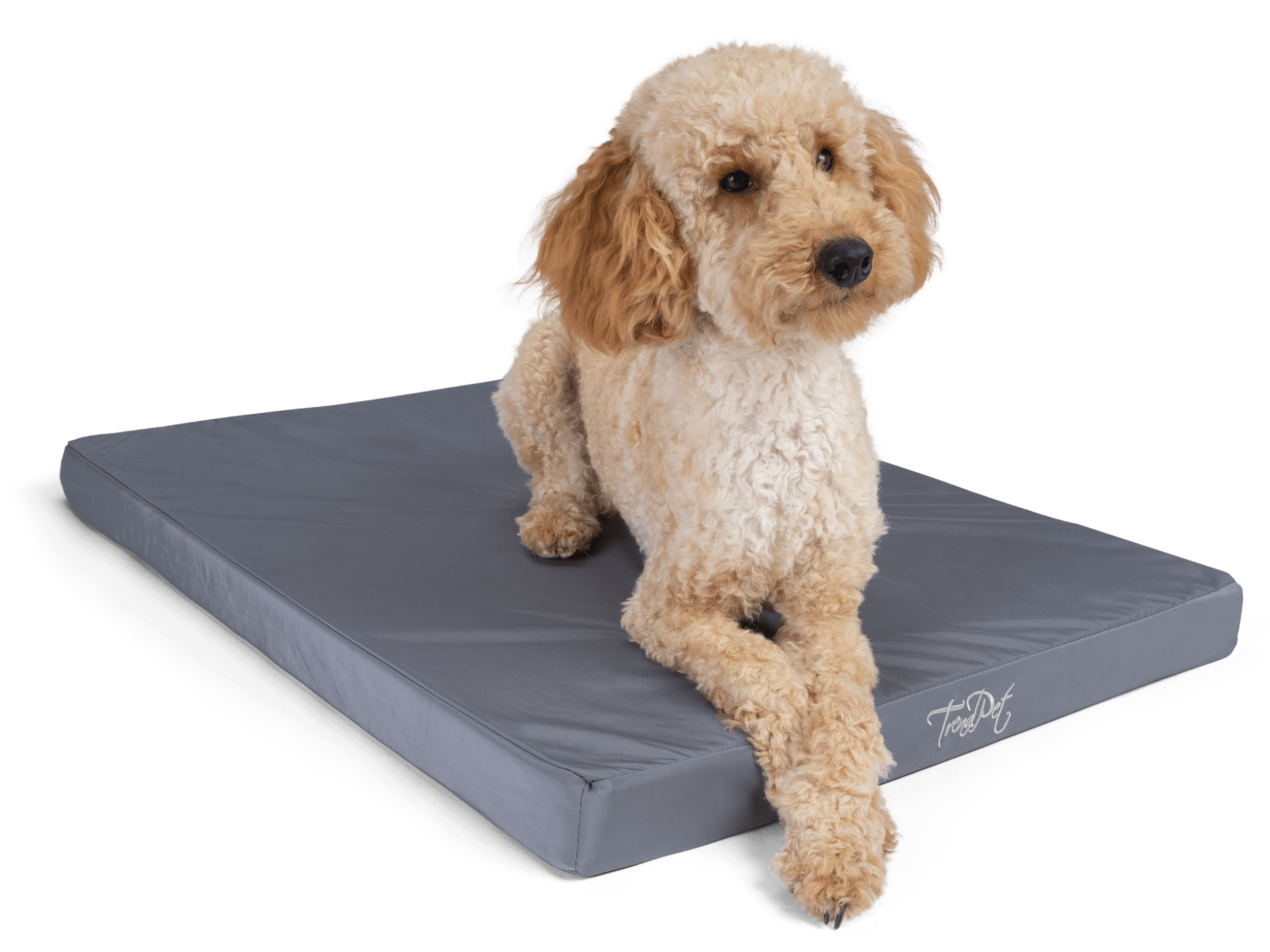 TrendPet Hundematten TrendPet VitaMedog WET orthopädische Matratze grau S