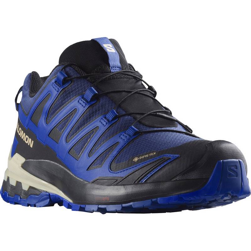 Salomon XA PRO 3D V9 Multifunktionsschuhe Herren