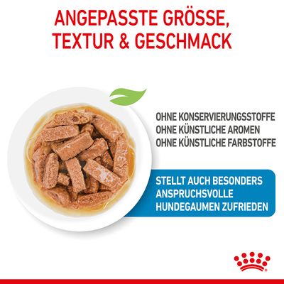 Royal Canin Maxi Puppy in Soße
