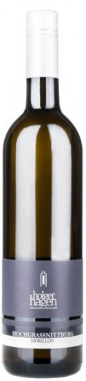 2019 Hochgrassnitzberg Morillon trocken Bio - Weingut Holger Hagen