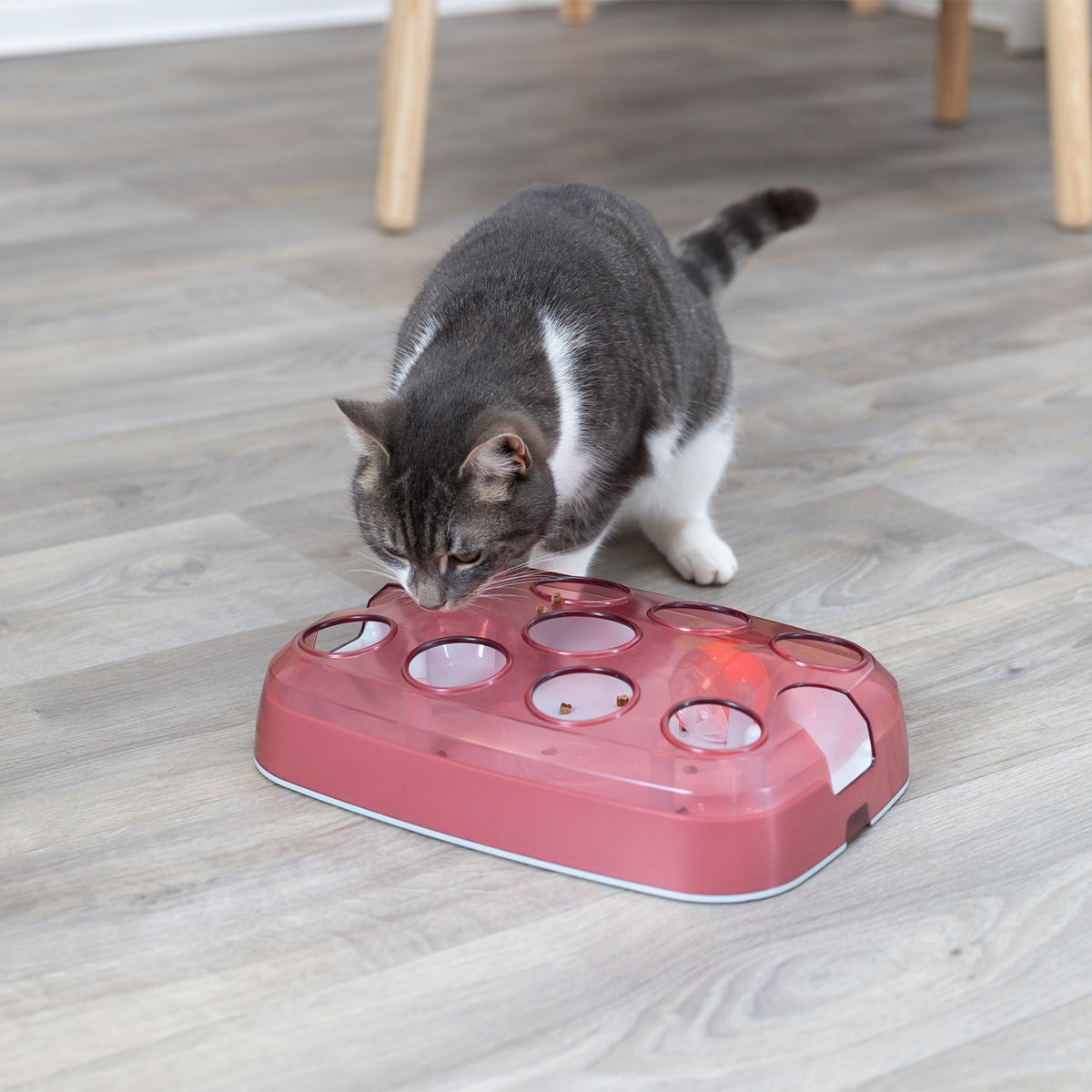 Trixie Cat Activity Soccer günstig kaufen