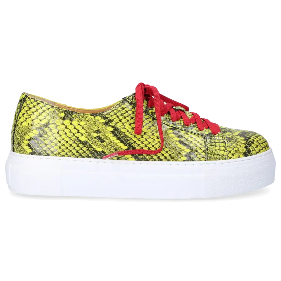Truman's - Sneaker low 9121 Kalbsleder Print grün - grün