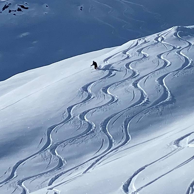 Erlebnis Freeride mit Guide Tour