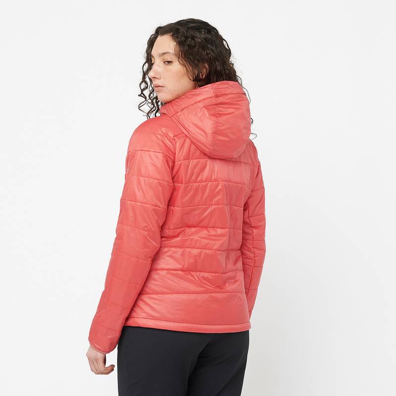 Salomon OUTLINE Steppjacke Damen