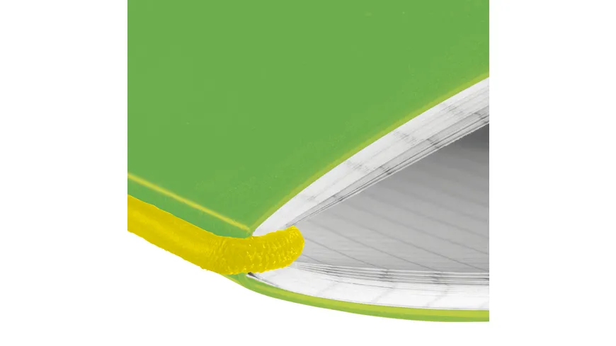 herlitz my.book flex Notizheft PP A6 40Blatt kariert hellgrün