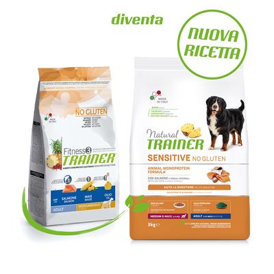 Natural Trainer Sensitive No Gluten Adult Medium/Maxi mit Lachs