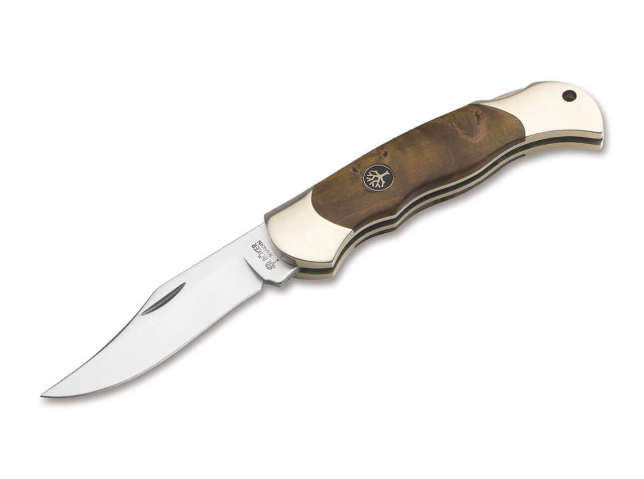 Boy Scout Maserbirke Braun