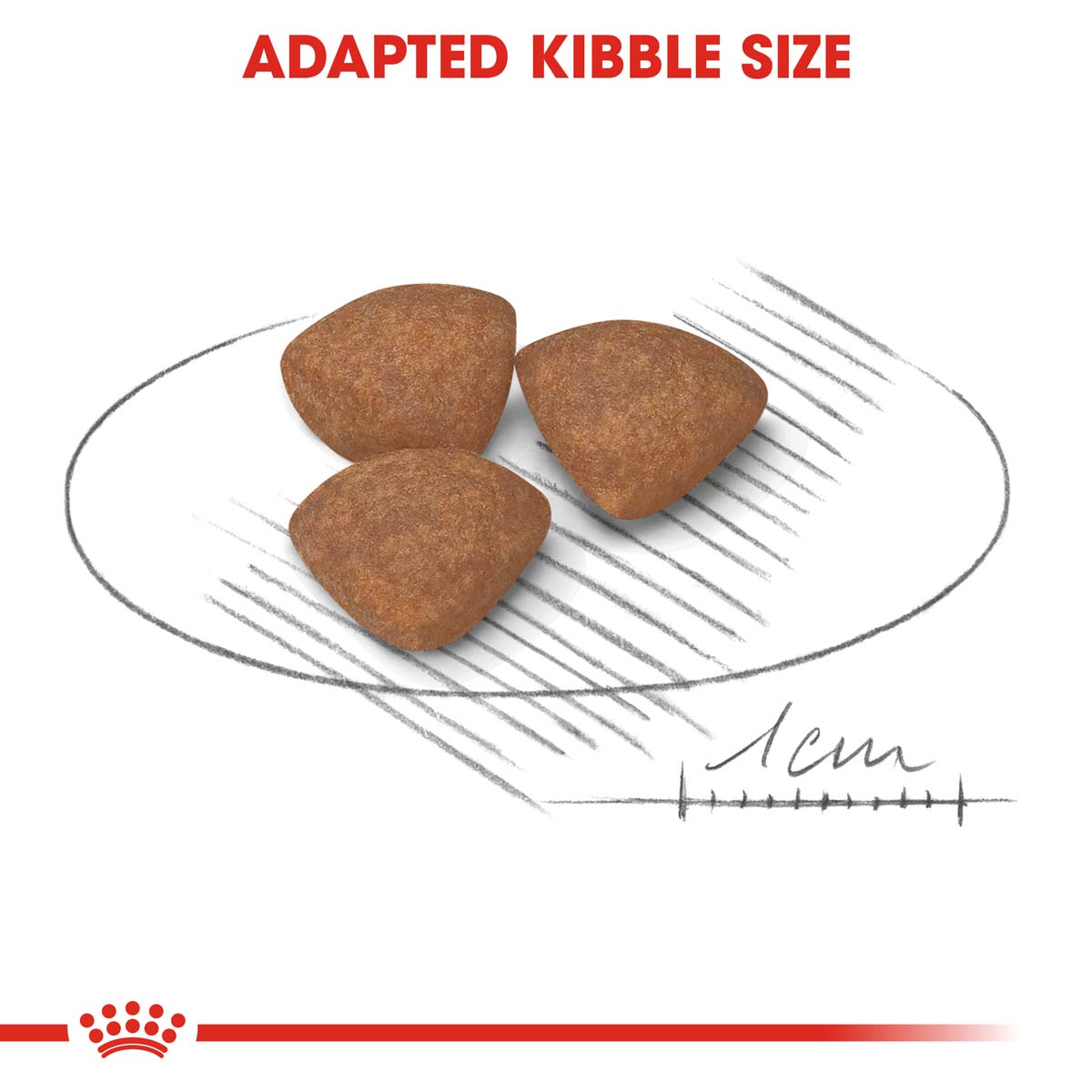 ROYAL CANIN Mini Puppy 2kg + Mini Puppy in Soße 12x85g