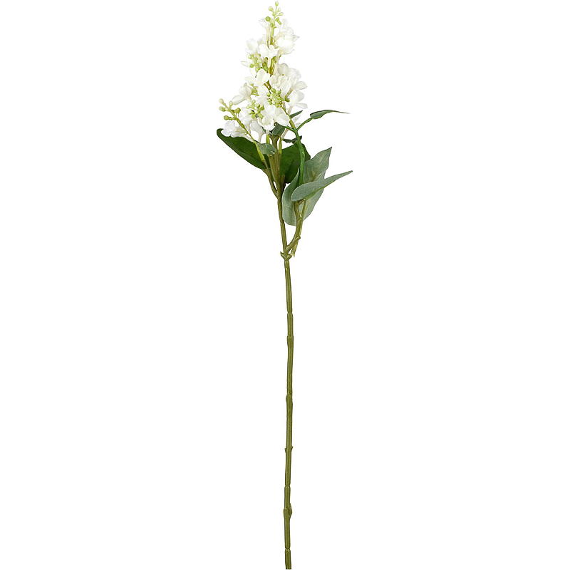 Home Syrinstilk 53 cm
