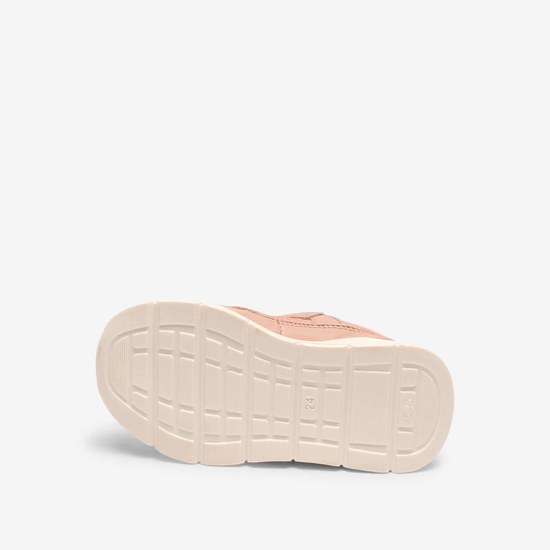 pan e tex rose - Rose