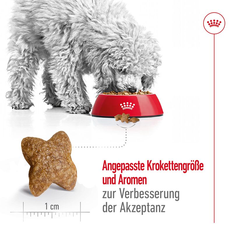 Royal Canin Mini Adult