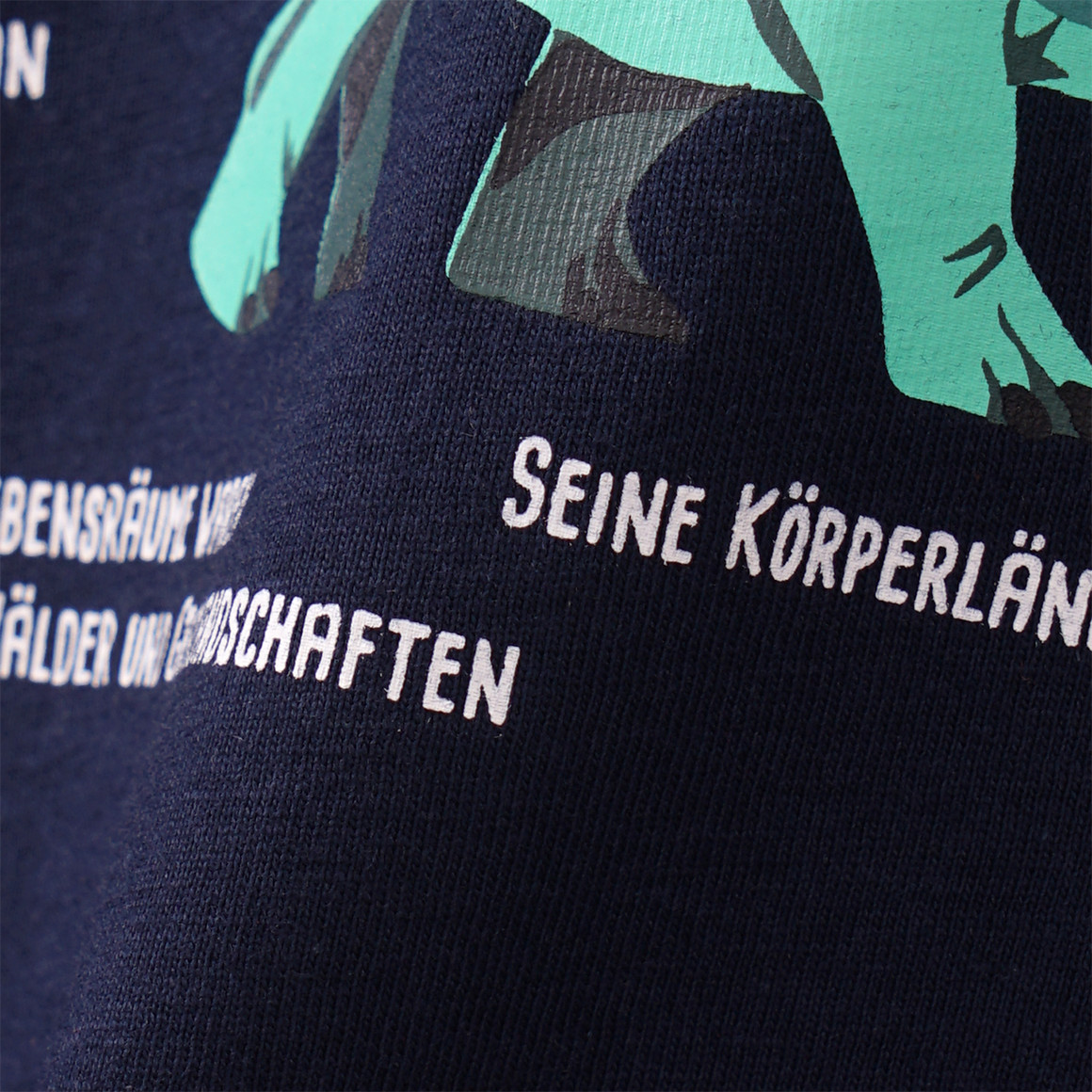 Baby Langarmshirt mit Triceratops-Print