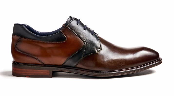 LLOYD Business Schuhe braun Monty