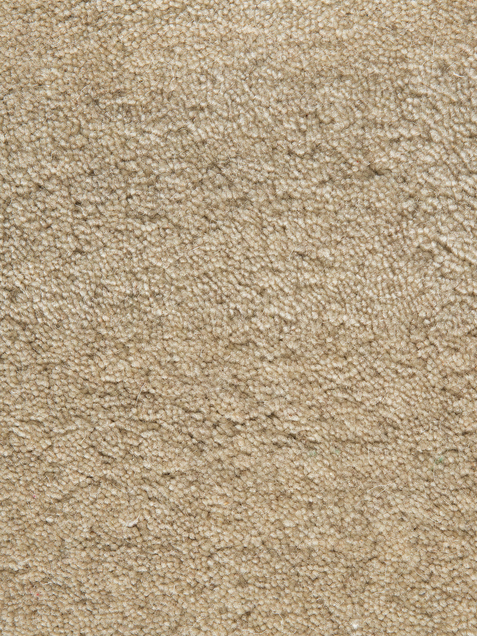 Mavora Woll-Teppich, Sand