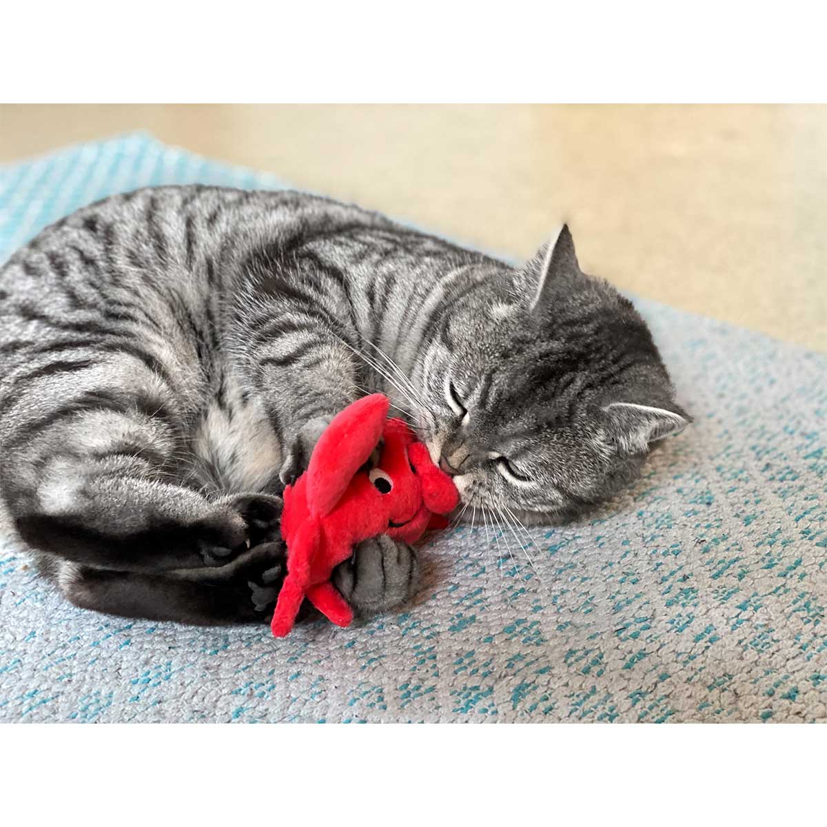 Aumüller Katzenspielkissen Krebs Kalle kaufen