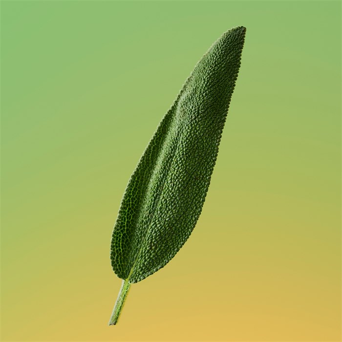 Eau de Parfum Spray