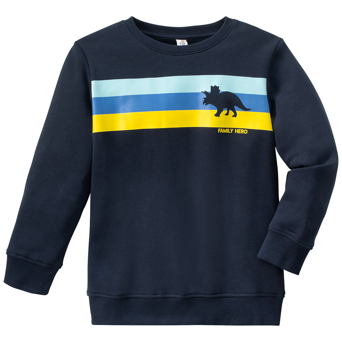 Jungen Sweatshirt mit Dino-Motiv