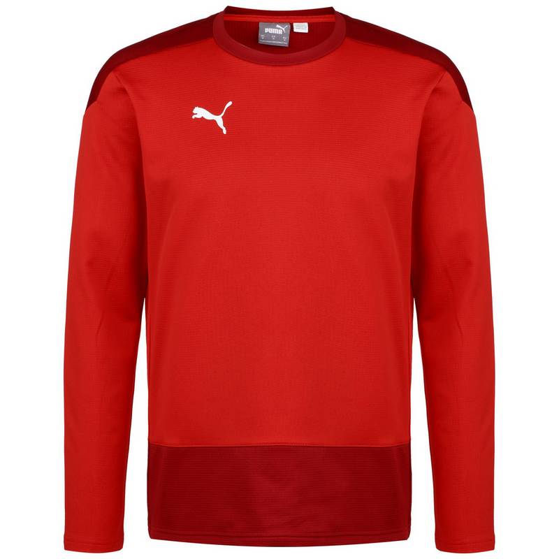 PUMA teamGOAL 23 Funktionssweatshirt Herren