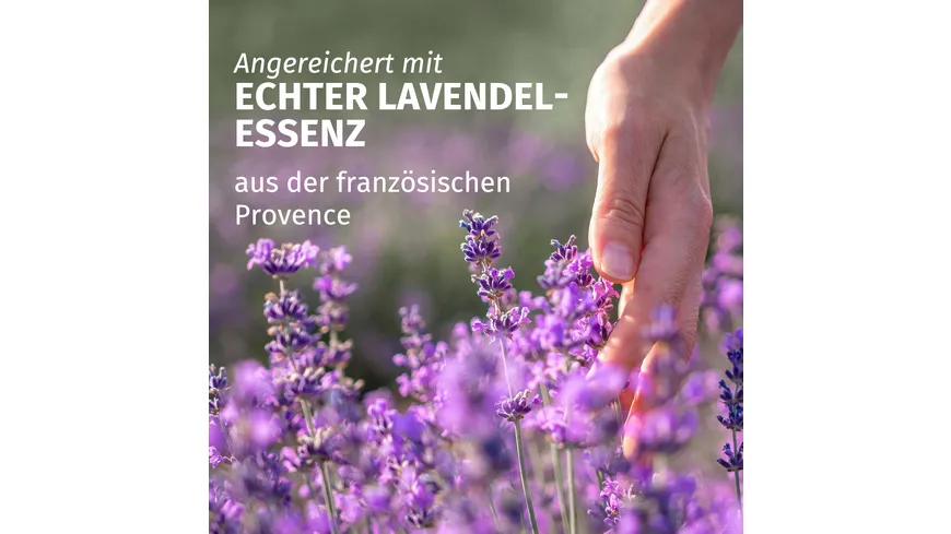 Herbal Essences sanfte Reinigung Lavendelduft Shampoo 350 ml