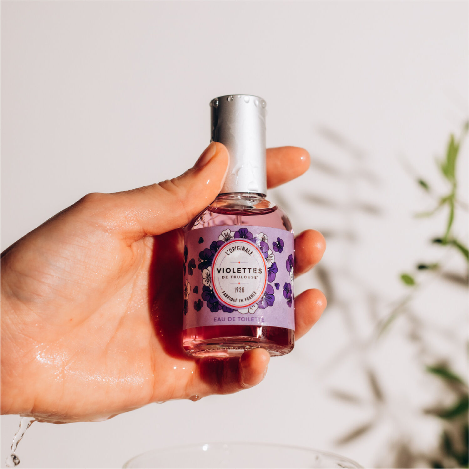 l' originale violettes de toulouse L'Originale Violettes de Toulouse Eau de Toilette