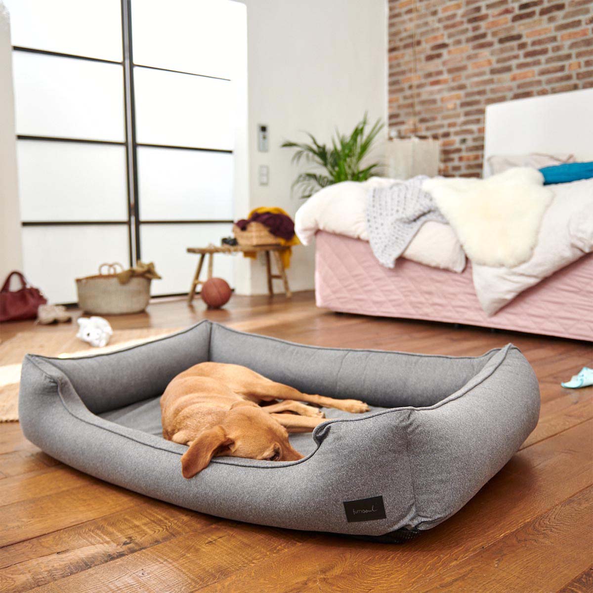 furrysoul orthopädisches Hundebett Lian grau kaufen bei ZooRoyal