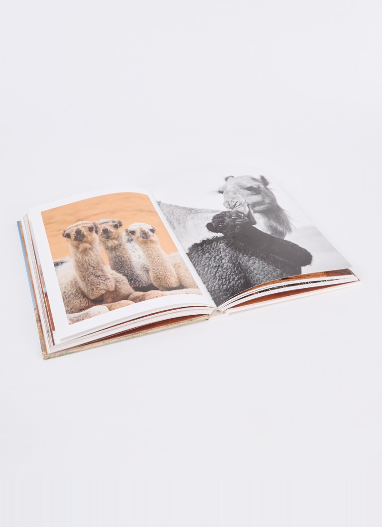 Assouline-kamelit Saudi-Arabiasta
