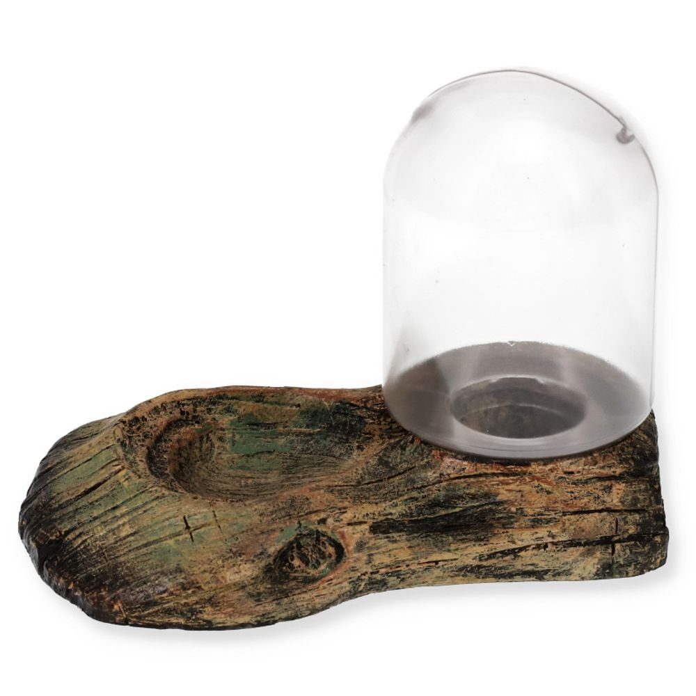 Happet Terrarium Terrarium Reptilien Wasser Automat Spender Trinkschale Wasserschale