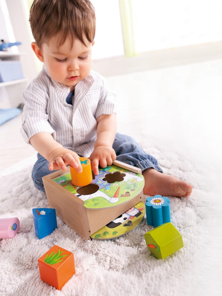 Haba Lernspielzeug Sortierbox Tiere in mehrfarbig günstig kaufen onesize