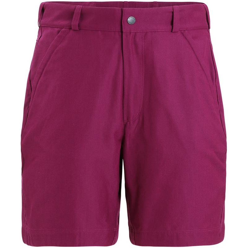 Icebreaker HIKE Funktionsshorts Damen