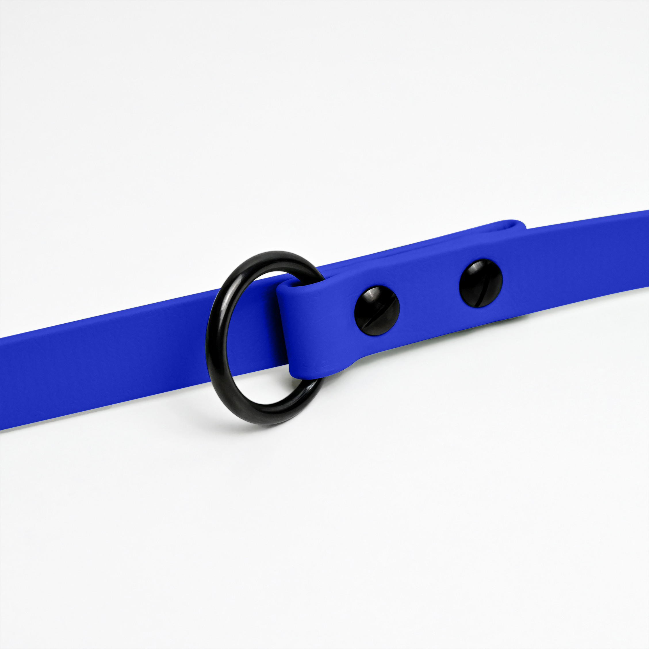 THE DOG IDEA Hundeleinen THE DOG IDEA Biothane Hundeleine Blau
