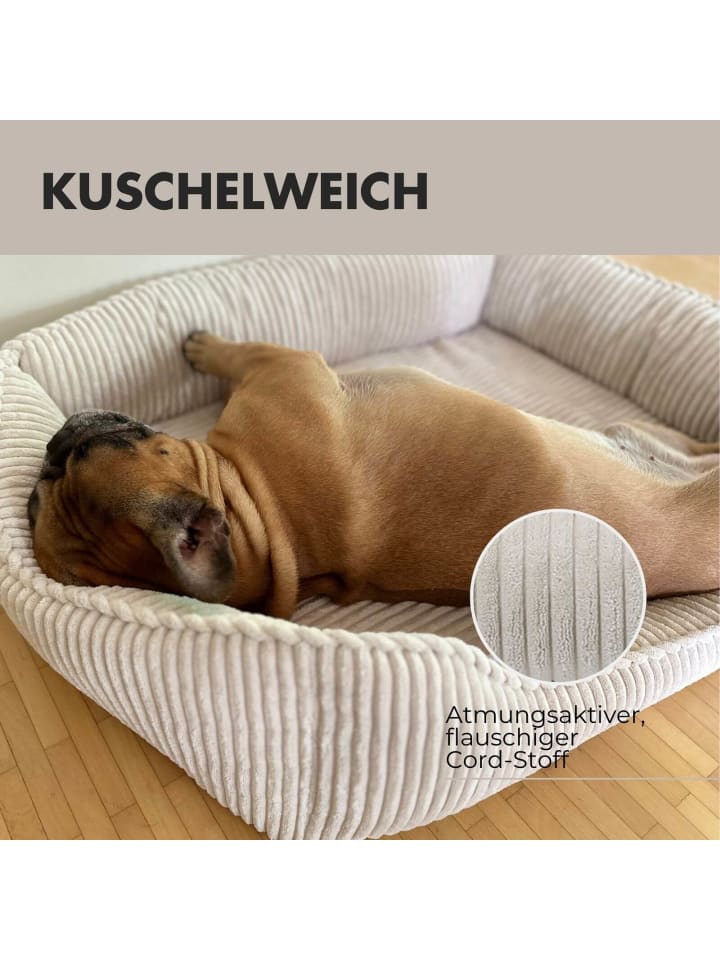 PAW WOW Hundebett ANTON Cord Beige günstig kaufen