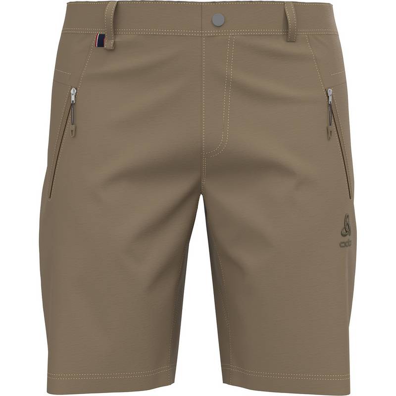 Odlo WEDGEMOUNT Funktionsshorts Herren
