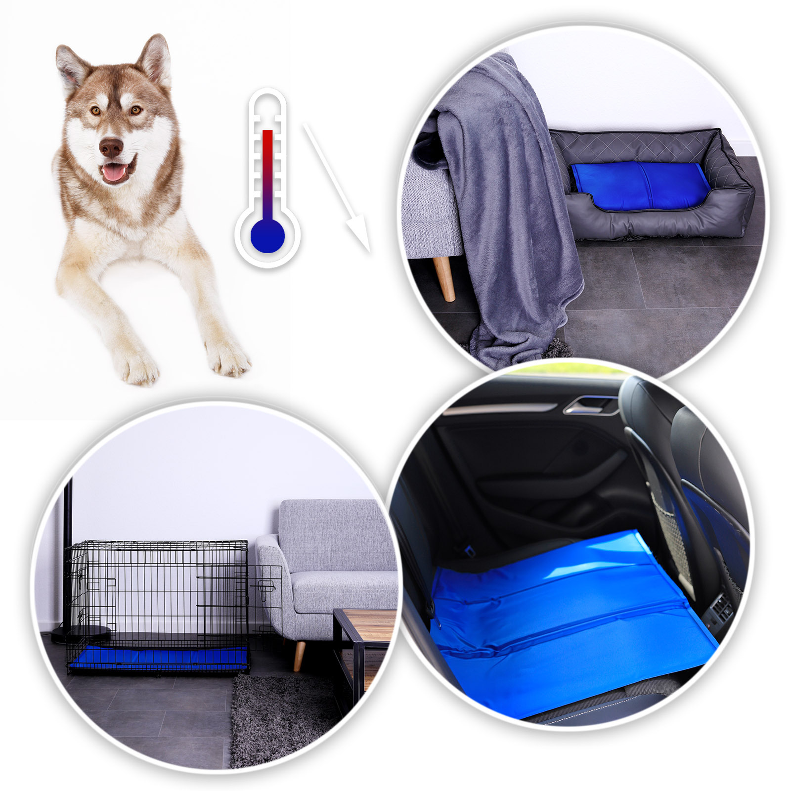 Lionto Hundematten Lionto Selbstkühlende Liegematte für Haustiere S