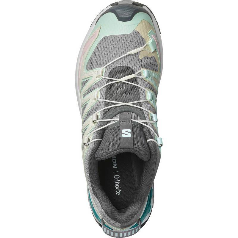 Salomon XA PRO 3D V9 Multifunktionsschuhe Damen
