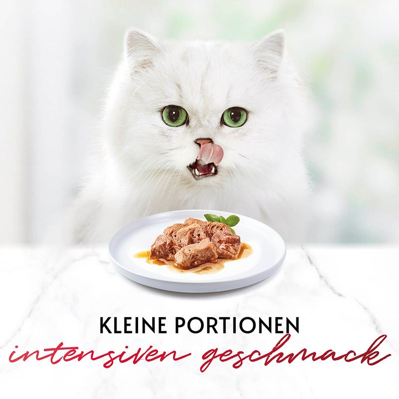 Mixpaket Gourmet Mon Petit 6 x 50 g zu TOP-Preisen