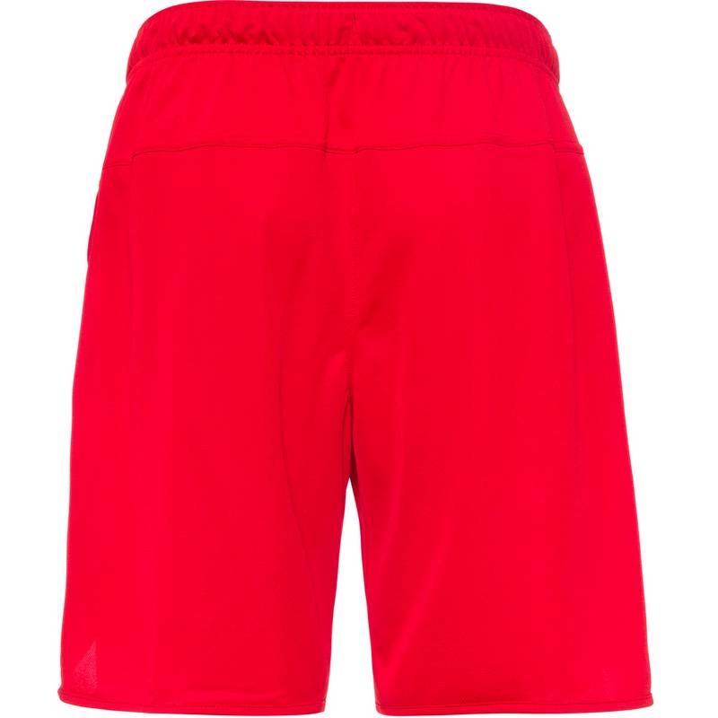 Nike Totality Funktionsshorts Herren