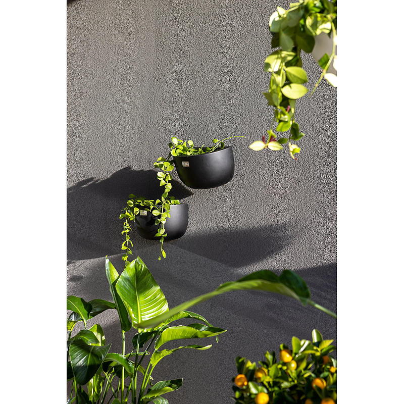 Home Veggpotte Malaga