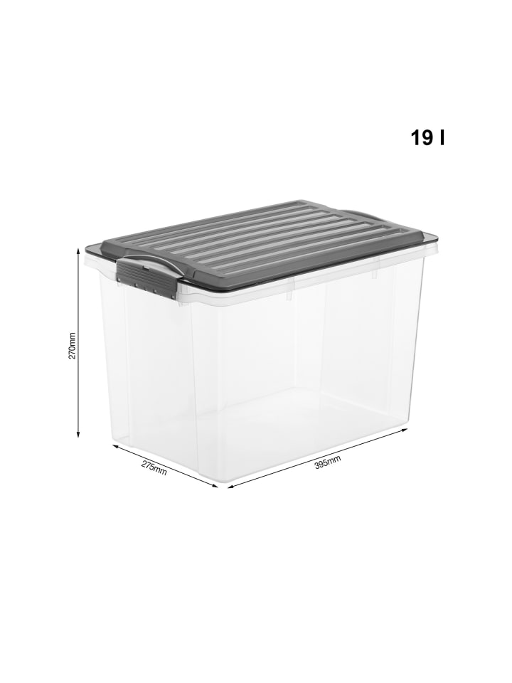 Rotho 3er Set Box DIN A4 Format hoch, 19 l COMPACT günstig kaufen onesize