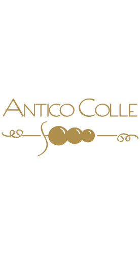 2021 Chianti Colli Senesi DOCG trocken Bio - Antico Colle