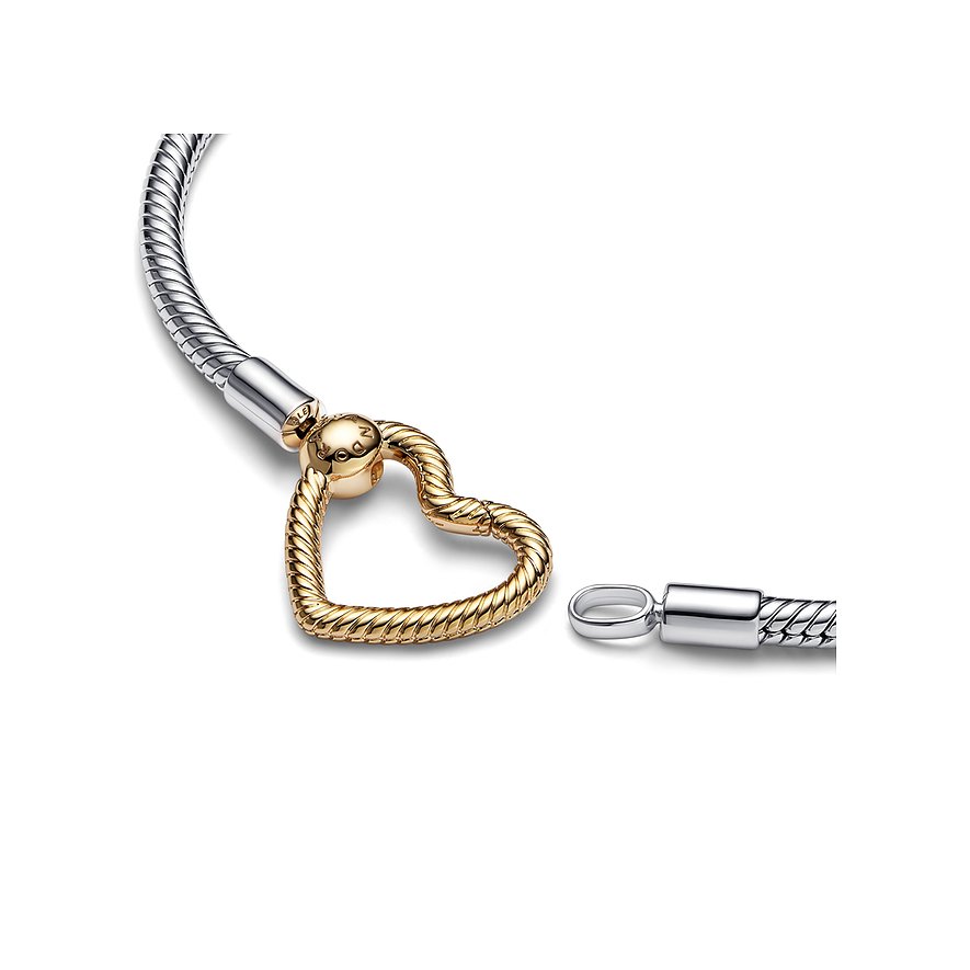 Pandora Armband Moments