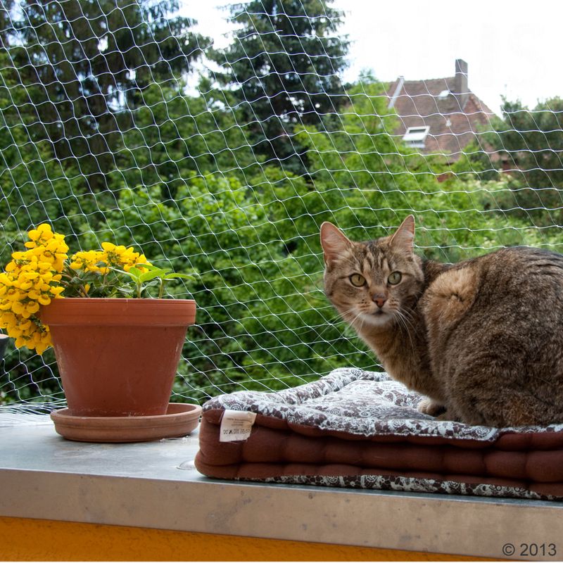 Katzenschutznetz transparent zu TOP-Preisen