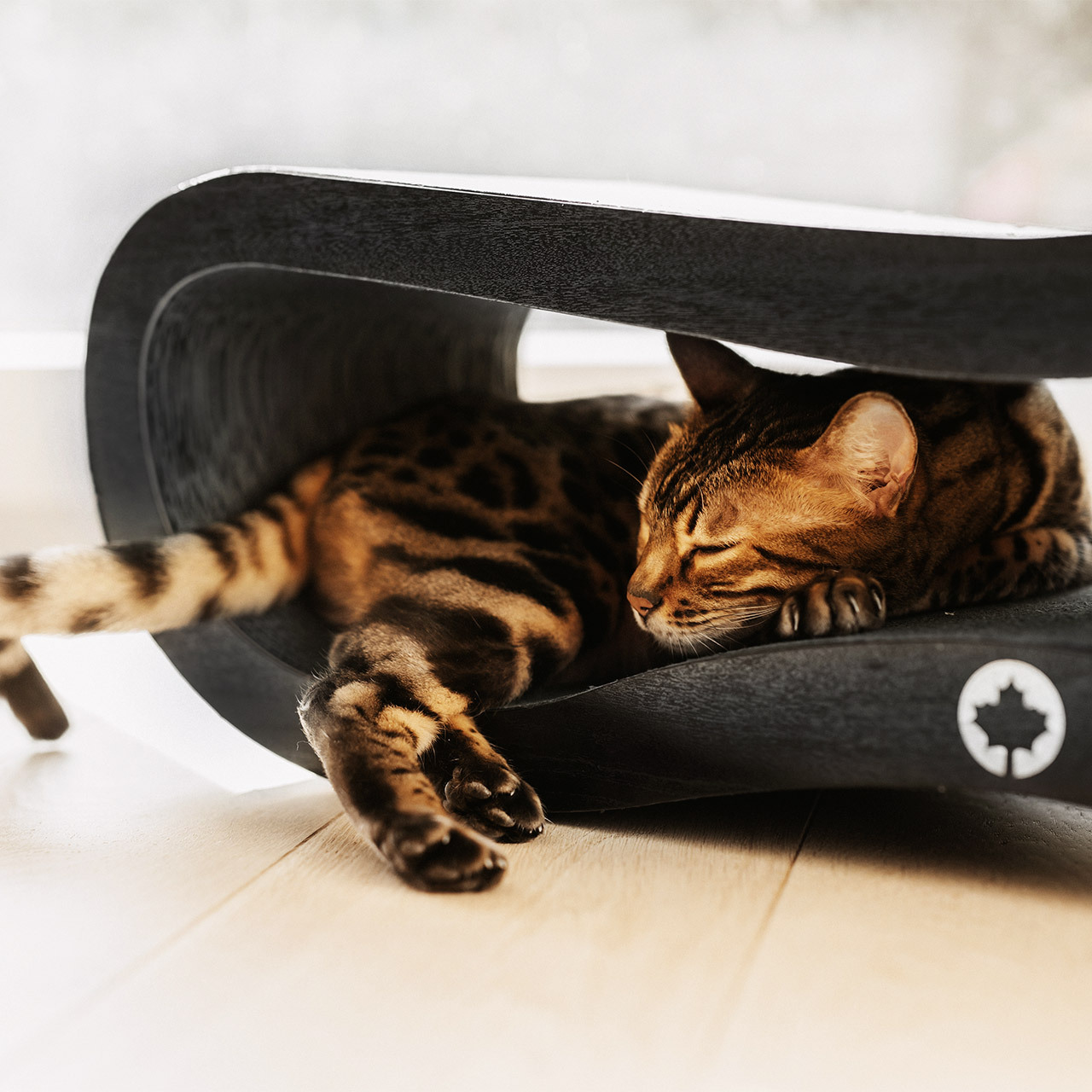 Canadian Cat Company Kratzbäume Canadian Cat Company Kratzbrett Orbit 2.0 schwarz