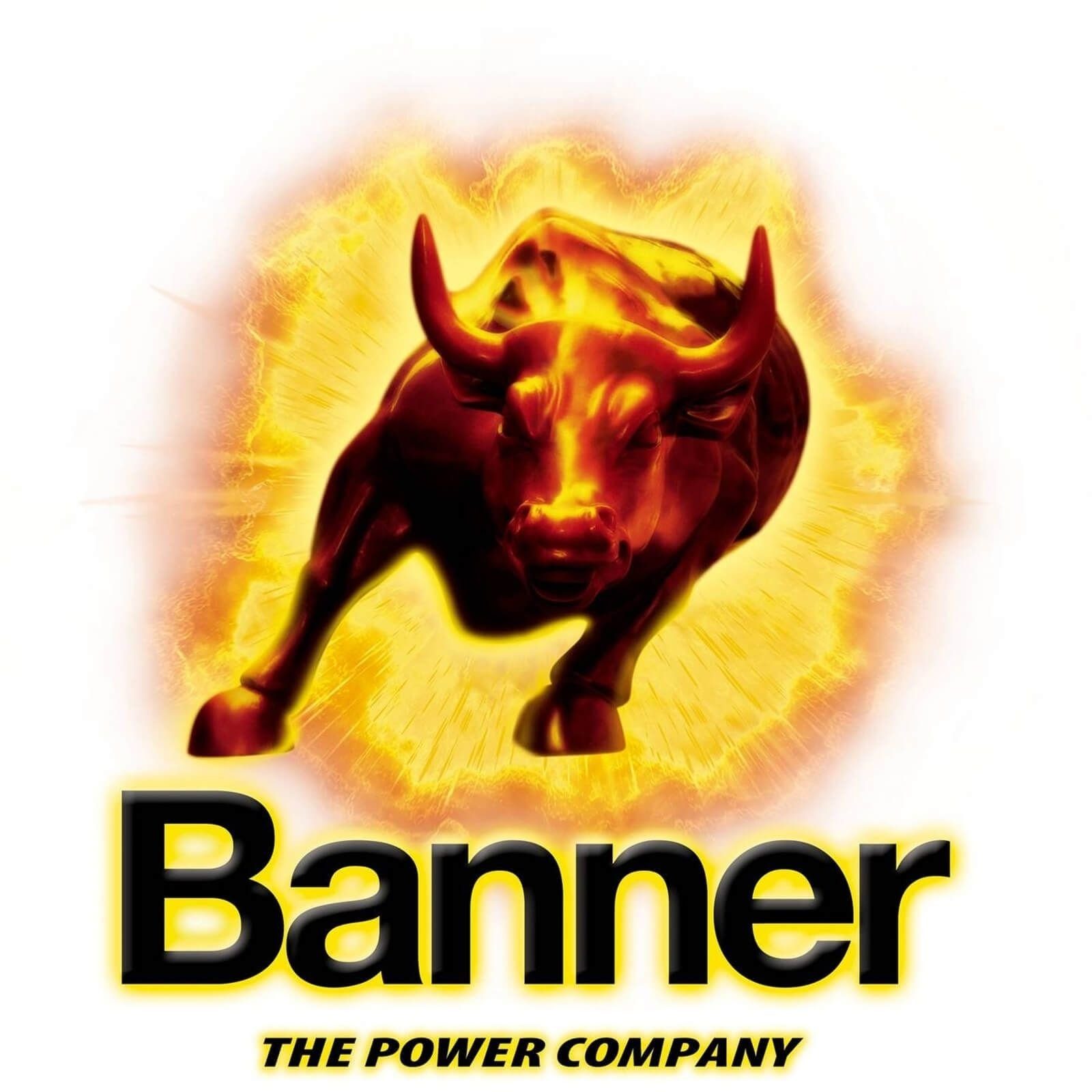 Banner Batterien Automatisches Batterieladegerät 12 Volt 6 A Typ 1240000060 Autobatterie-Ladegerät