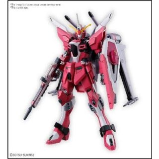 Gundam - HG Infinite Justice Gundam Type II