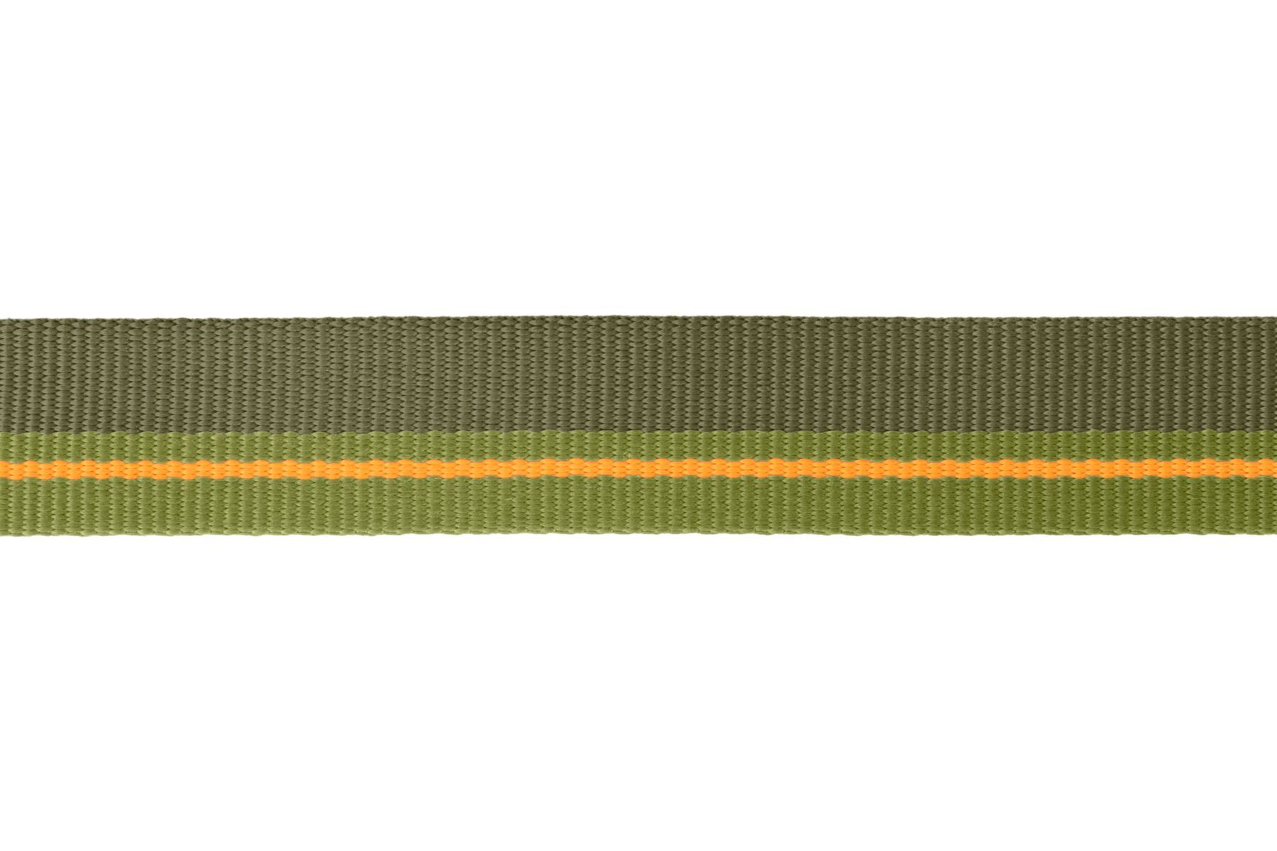 Ruffwear Hundeleinen Ruffwear Flat Out™ Leine grün
