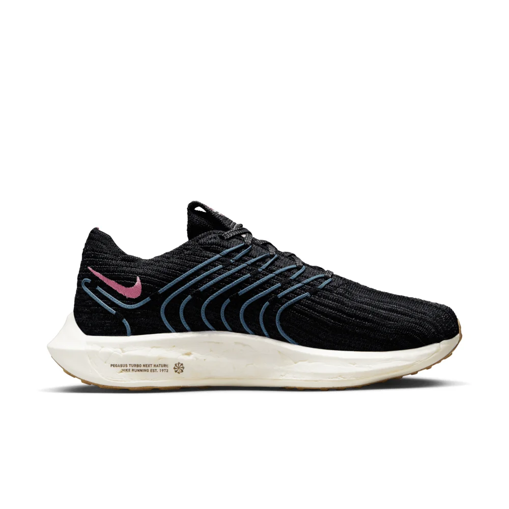 Nike Pegasus Turbo Next Nature DM3414-004 / schwarz