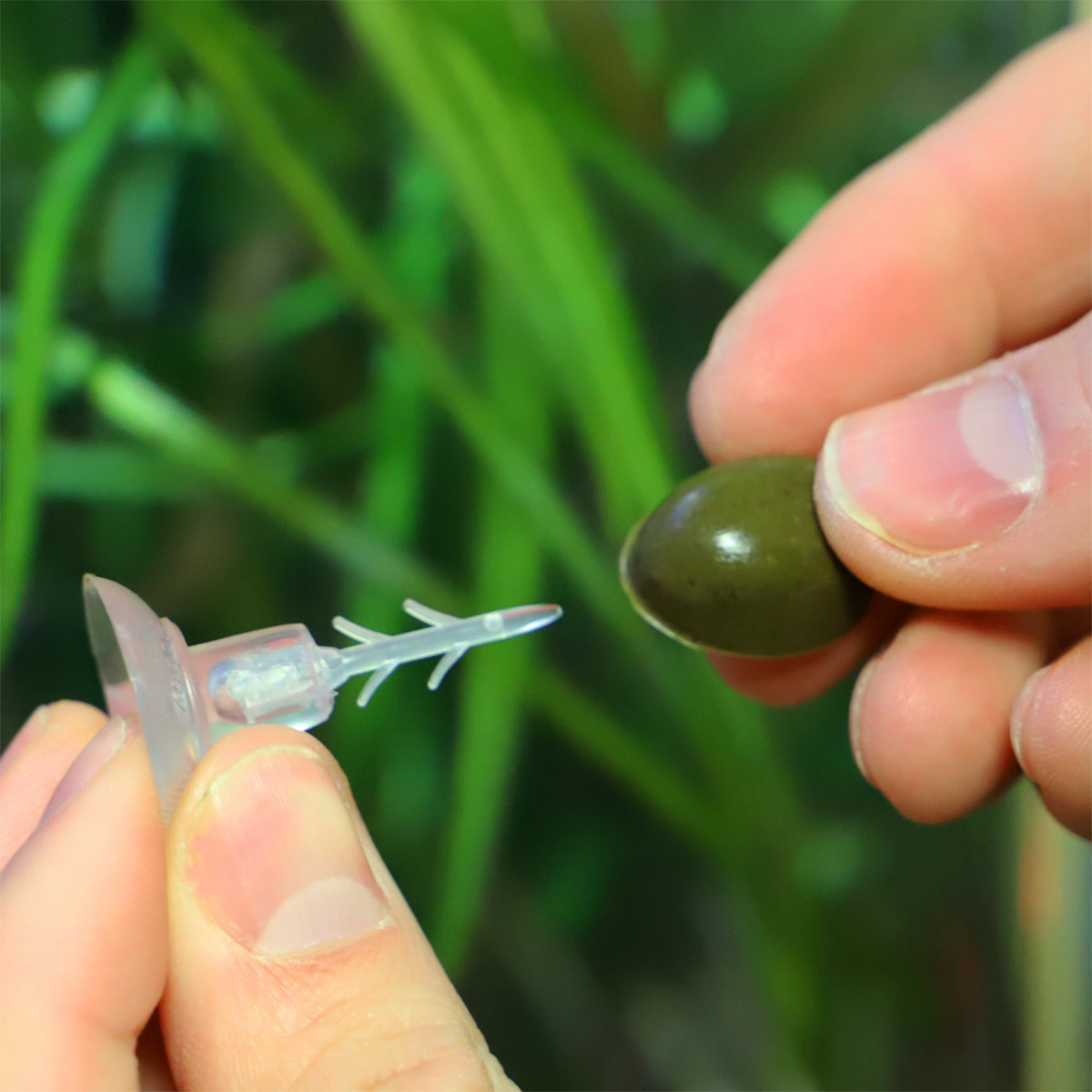 Dupla Gel-o-Drops Holder günstig kaufen